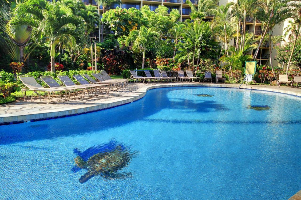 Kaanapali Shores 706 Екстер'єр фото